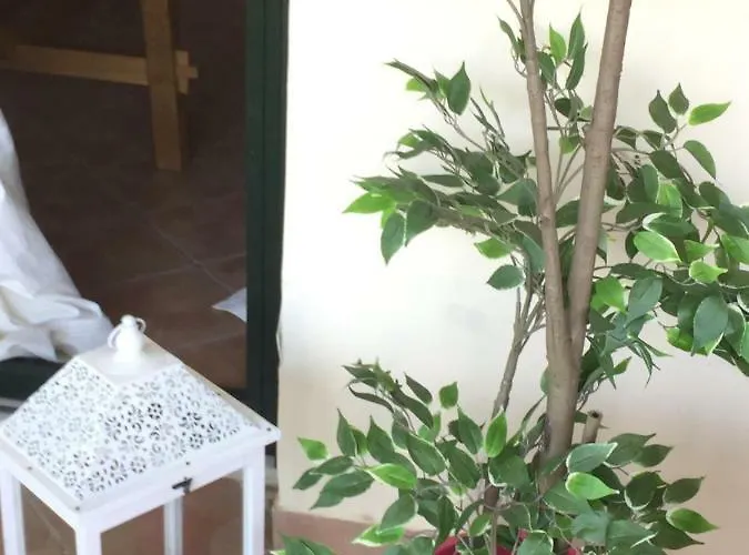 The View 2 Nea Iraklitsa